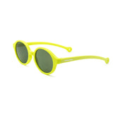 Tortuga Amarillo Pacma
